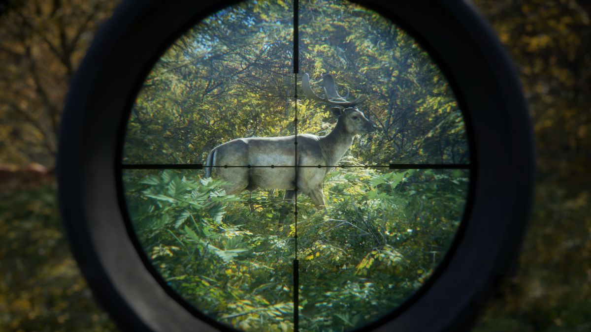 the hunter call of the wild free download